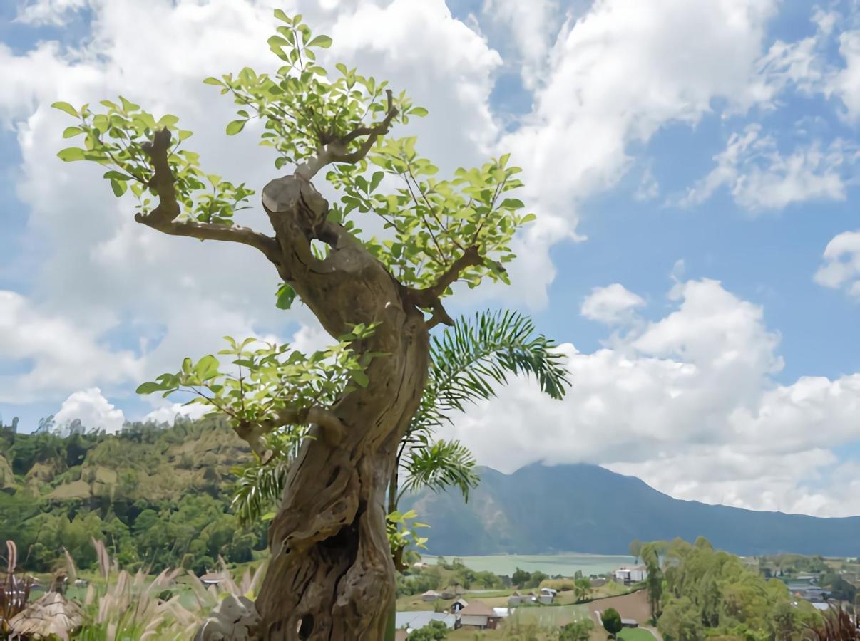 Villa Batur Cliff Panorama Baturaja  Exterior foto